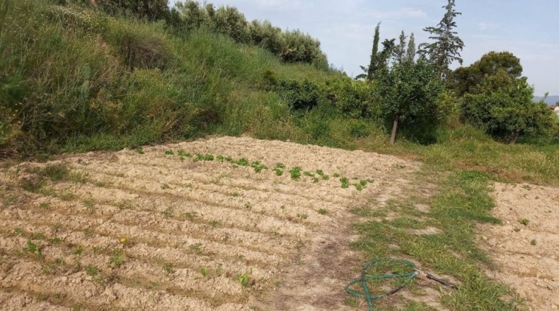 Murcia - Lorca - 18000m2