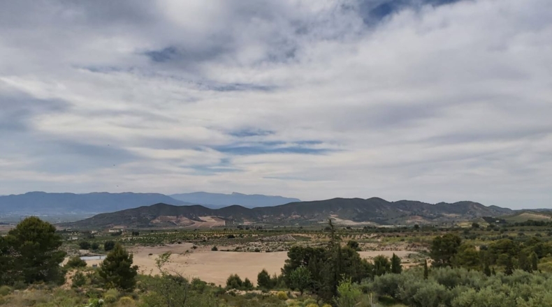 Murcia - Lorca - 18000m2