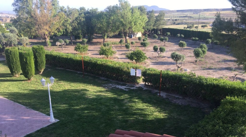 Murcia - Lorca - 6000m2