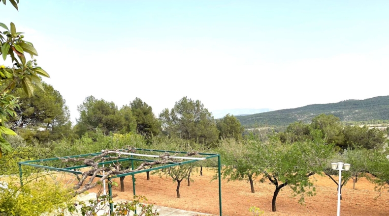Murcia - Alguazas - 2650m2