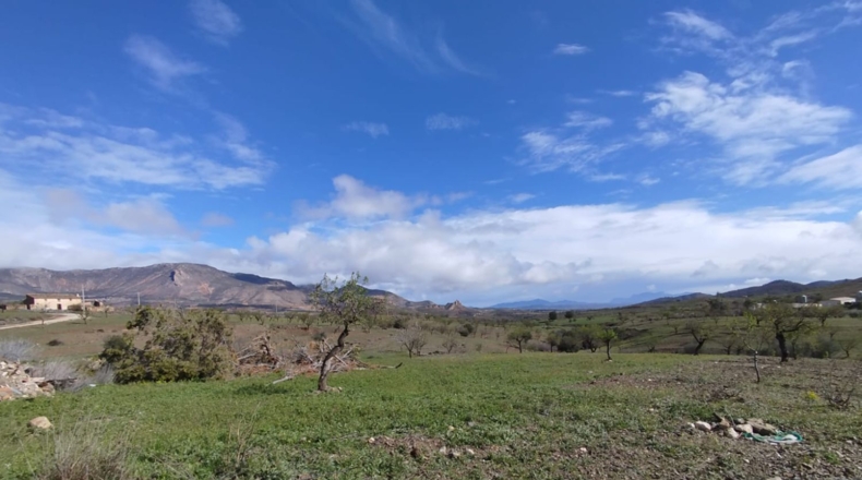 Murcia - Lorca - 125000m2