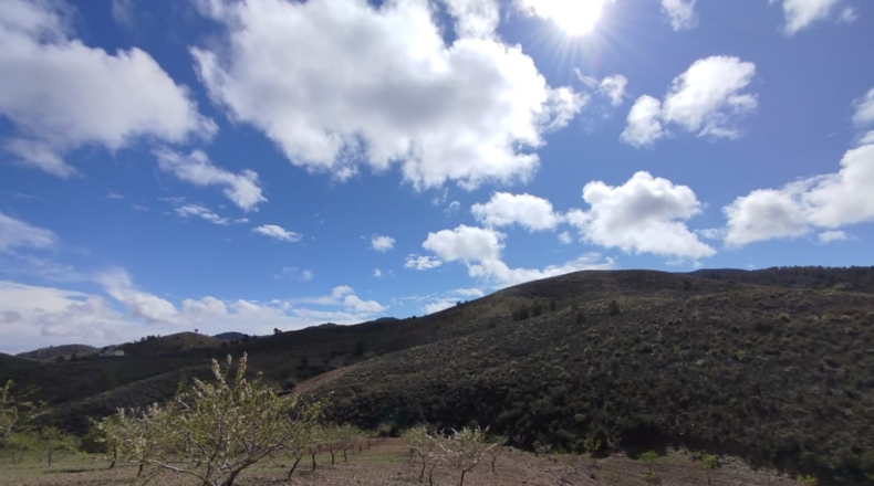 Murcia - Lorca - 125000m2