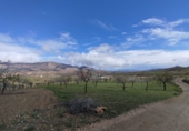 Земельный участок на продажу в городе Lorca. Фото
