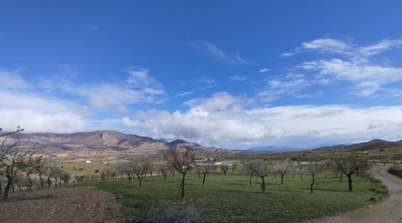 Murcia - Lorca - 125000m2