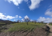 Земельный участок на продажу в городе Lorca. Фото