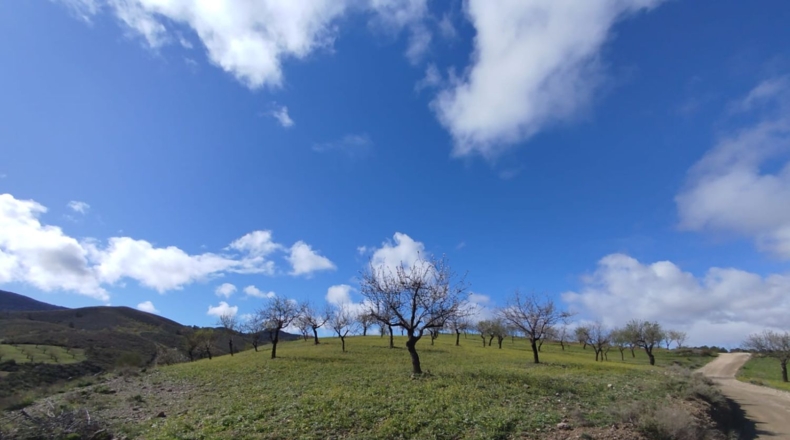 Murcia - Lorca - 125000m2