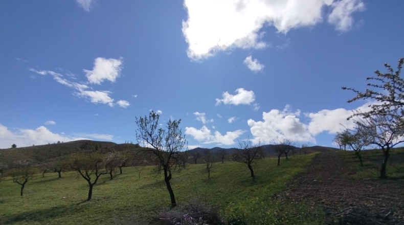Murcia - Lorca - 125000m2