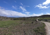 Земельный участок на продажу в городе Lorca. Фото