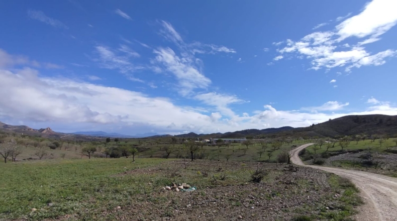 Murcia - Lorca - 125000m2