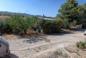 Foto 10