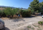 Земельный участок на продажу в городе Lorca. Фото