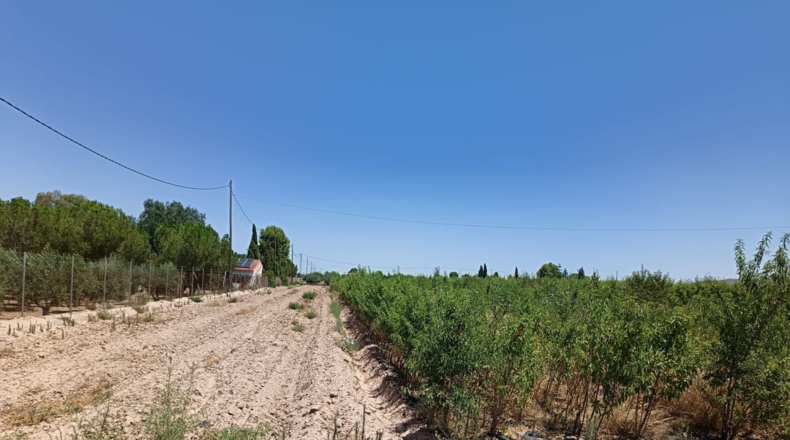 Murcia - Lorca - 4500m2