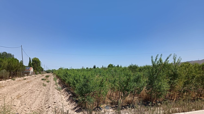 Murcia - Lorca - 4500m2