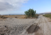 Non-developable land for sale on España, Lorca, ref: TR308128 photo