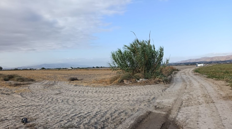 Murcia - Lorca - 53044m2