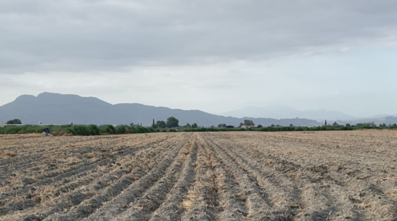 Murcia - Lorca - 53044m2
