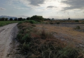 Non-developable land for sale on España, Lorca, ref: TR308128 photo