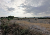 Non-developable land for sale on España, Lorca, ref: TR308128 photo