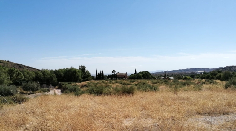 Múrcia - Totana - 14200m2