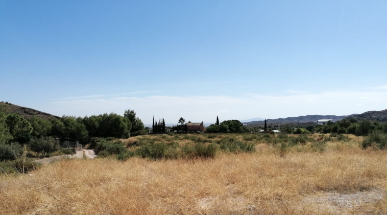 Múrcia - Totana - 14200m2