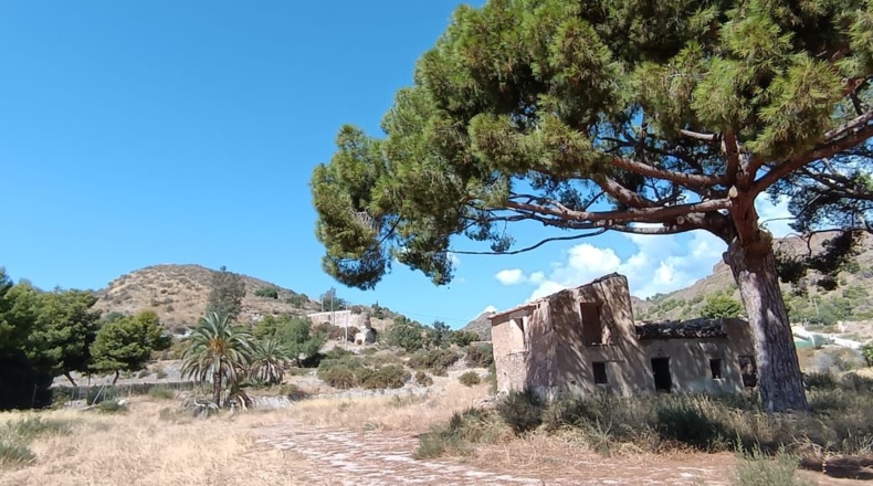 Múrcia - Totana - 14200m2