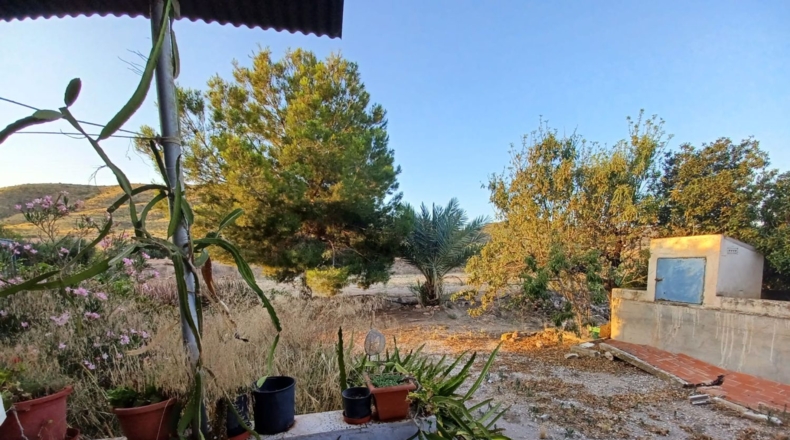 Múrcia - Lorca - 7000m2