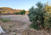 Finca rústica en venta en Lorca ref: TR367288 foto
