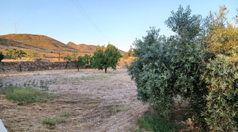 Múrcia - Lorca - 7000m2
