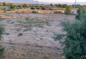 Finca rústica en venta en Lorca ref: TR367288 foto