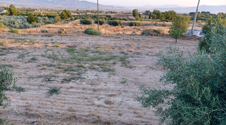 Múrcia - Lorca - 7000m2