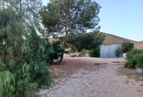 Foto 17