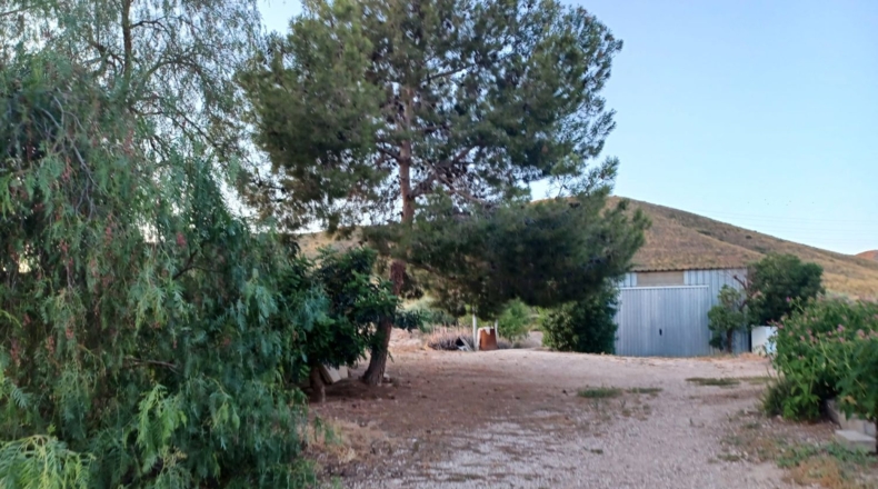 Múrcia - Lorca - 7000m2