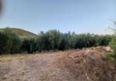 Finca rústica en venta en Lorca ref: TR367288 foto