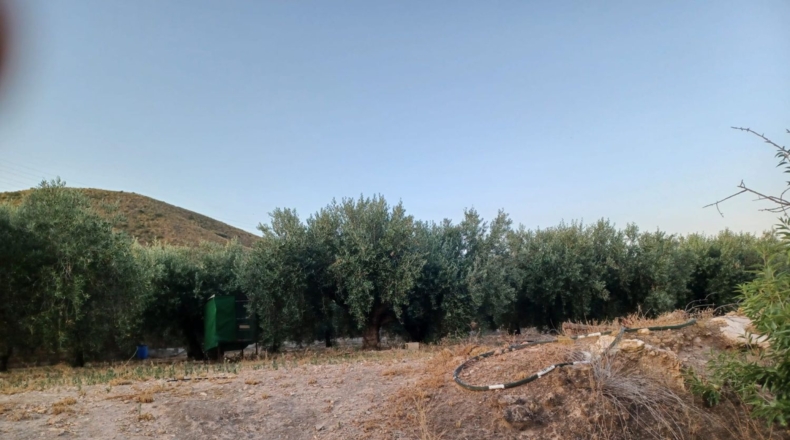 Múrcia - Lorca - 7000m2