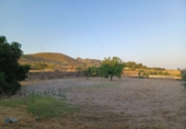 Finca rústica en venta en Lorca ref: TR367288 foto