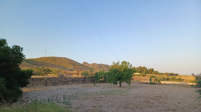 Múrcia - Lorca - 7000m2