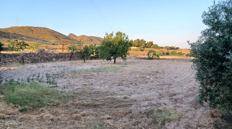 Múrcia - Lorca - 7000m2