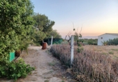 Finca rústica en venta en Lorca ref: TR367288 foto