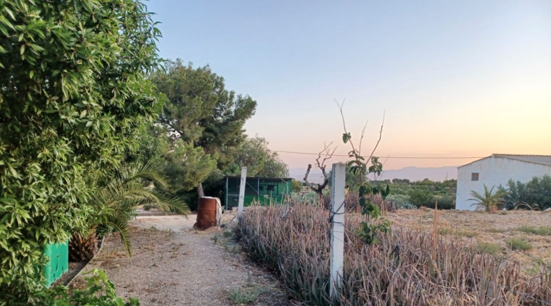 Múrcia - Lorca - 7000m2
