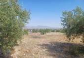 Finca rústica en venta en Lorca ref: TR367288 foto