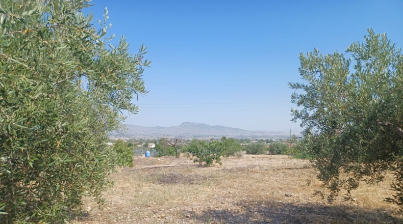 Múrcia - Lorca - 7000m2