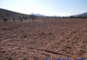 Non-developable land for sale in Caudete ref: TR52936 photo