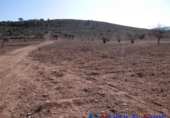 Non-developable land for sale in Caudete ref: TR52936 photo