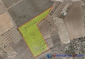 Non-developable land for sale in Caudete ref: TR52936 photo