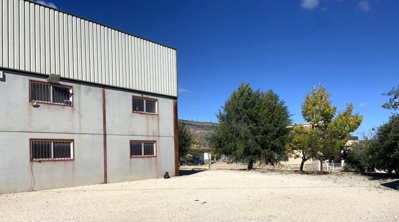 Albacete - Caudete - 3151m2