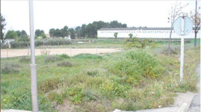 Albacete - Caudete - 517m2