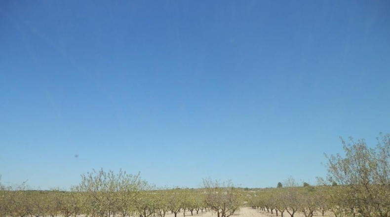 Albacete - Caudete - 162900m2