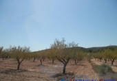 Terreno no urbanizable en venta en Caudete ref: TR32556 foto