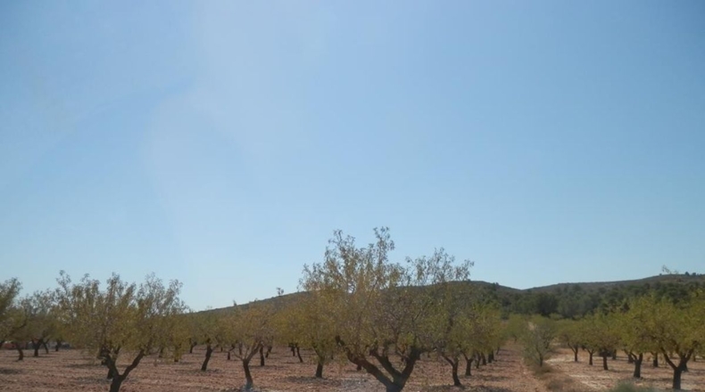 Albacete - Caudete - 162900m2