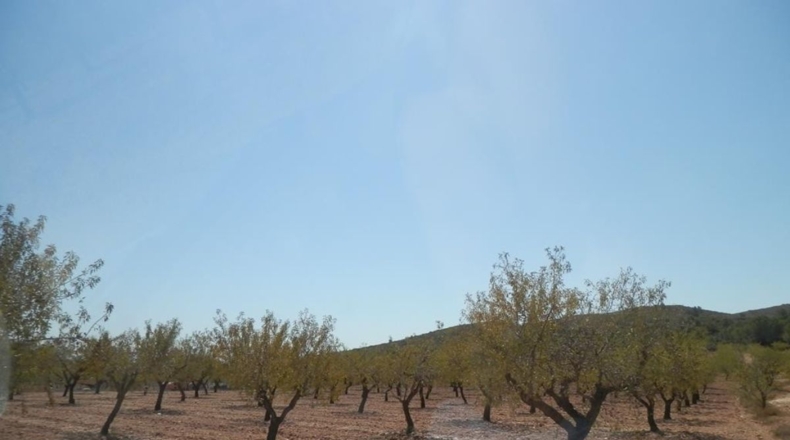 Albacete - Caudete - 162900m2